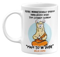 ŚMIESZNY KUBEK ŚCIEŻKA WEWNĘTRZNEGO SPOKOJU, GITEES, 330ML