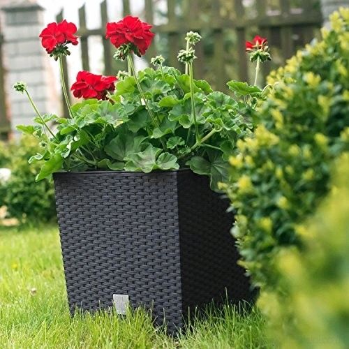 Doniczka RATO niska DRTS265L z wkładem | Antracyt na Arena.pl