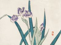 Plakat 20x15cm Irises, Kōno Bairei Japoński Vintage do Salonu