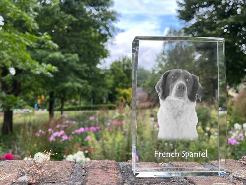 Spaniel francuski kryształ z psem Art-Dog na Arena.pl
