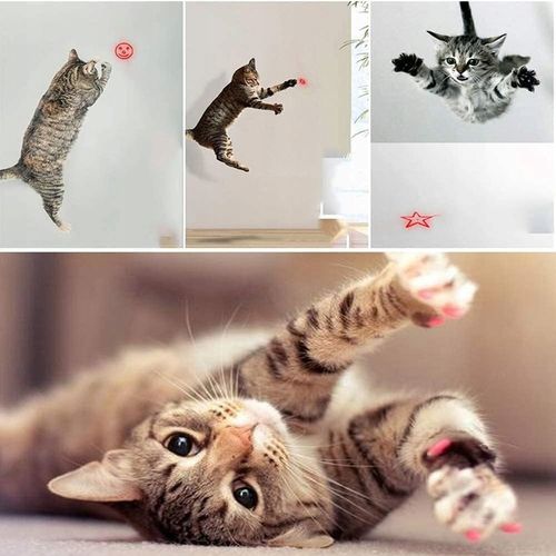 LASER WSKAŹNIK LASEROWY LATARKA ZABAWKA KOTA Ładowany przes USB Laser UV na Arena.pl