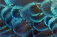 Tło PRODUKTOWE kulinarne Flat Lay na bloga insta