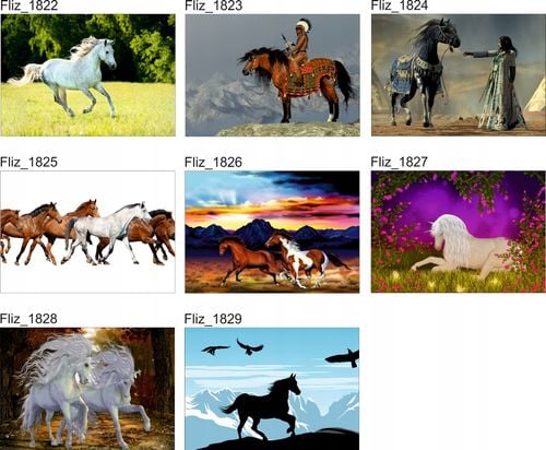 FOTOTAPETA ZWIERZĘTA KONIE UNICORN WIDOK NATURA na Arena.pl