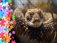 Puzzle tradycyjne Zwierzęta - Wąż