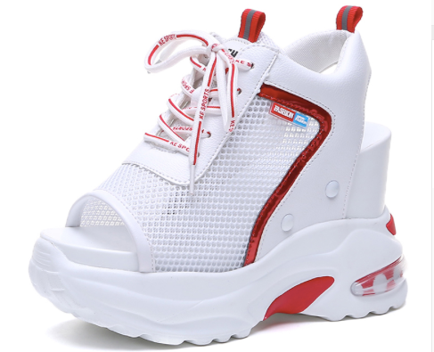 Buty Damskie -  GLADIATOR - Nowa KOLEKCJA na Arena.pl