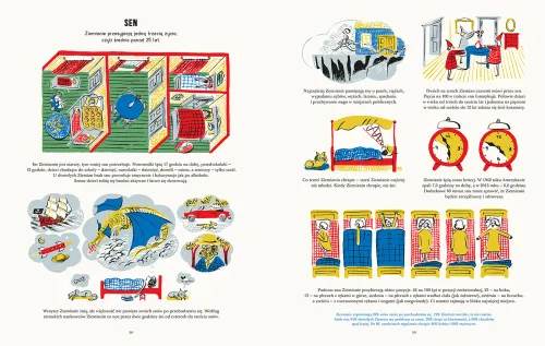 Ziemianie na Arena.pl