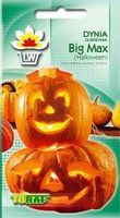 Dynia olbrzymia Big Max Halloween nasiona 4g