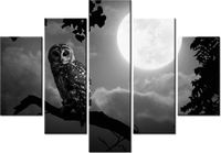 105CM 150CM OBRAZ 5 ELEM SOWA PEŁNI KSIĘŻYCA DRUK