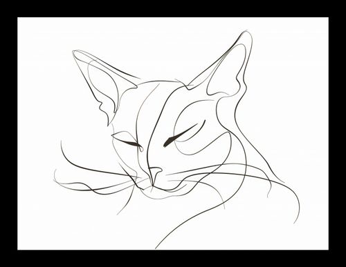 Plakat 20x15cm Linijny Kot na Arena.pl