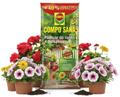 ZIEMIA PODŁOŻE DO PELARGONII SURFINII PETUNII SUPERTUNII FUKSJI BEGONII 35L