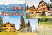 product-compare-52616007