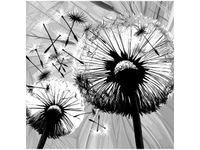 40CM 40CM OBRAZEK BIAŁE DMUCHAWCE SZARYM TLE DRUK PŁÓTNO OBRAZ