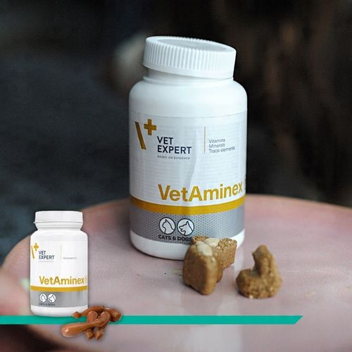 Preparat dla psów i kotów witaminy minerał Vet Expert Vetaminex 60 kapsułek na Arena.pl