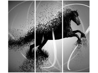 product-compare-58704061