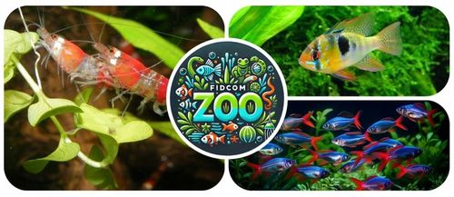 YOKUCHI Jiban Soil - 10L - czarne podłoże aktywne do akwarium na Arena.pl