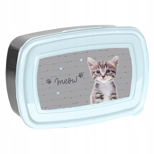 ZESTAW SZKONY PASO KOTEK TORNISTER PIÓRNIK WOREK TORBA BIDON ŚNIADANIÓWKA na Arena.pl