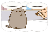 Skarbonka Pusheen