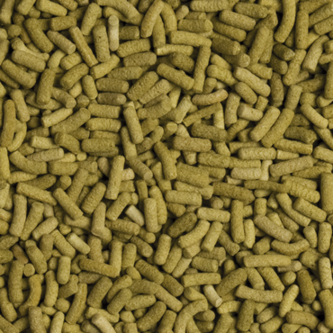 TROPICAL Biorept L 250 ml na Arena.pl