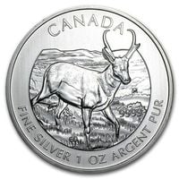 Wildlife: Antylopa 1 uncja Srebra 2013