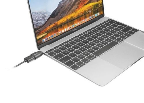 USB-C to USB 3.1 Adapter na Arena.pl