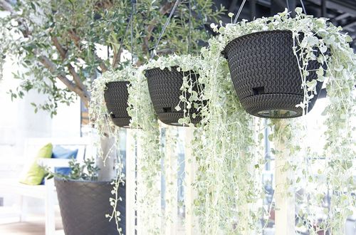 Doniczka wisząca Splofy DSPW230 | Antracyt na Arena.pl