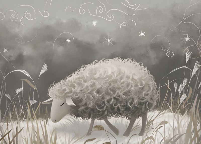 Plakat 35x25cm Bujna Owca zdjęcie 1