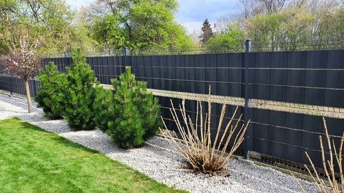 TAŚMA OGRODZENIOWA 19cmx50m +UV OSŁONA NA OGRODZENIA PANELOWE PŁOT ANTRACYT na Arena.pl