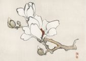 Plakat 42x29,7cm Magnolia, Kōno Bairei Japoński Vintage do Salonu