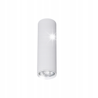 PLAFON LAMPA SUFITOWA SPOT TK LIGHTING TUNE 10025 1xGU10 BIAŁY