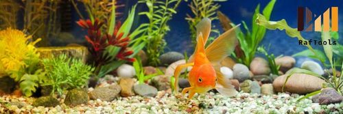 ZESTAW DO CZYSZCZENIA AKWARIUM 5 ELEMENTÓW CZYŚCIK SKROBAK ŁOPATKA 48 CM na Arena.pl