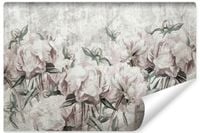 Fototapeta Do Jadalni PEONIE Piwonie Kwiaty Abstrakcja Beton 360cm x 240cm
