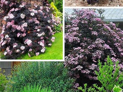 Bez kolumnowy Black Tower ® P9 E na Arena.pl