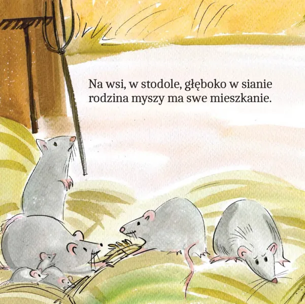 Zwierzątka Na Wsi W Wierszykach zdjęcie 6
