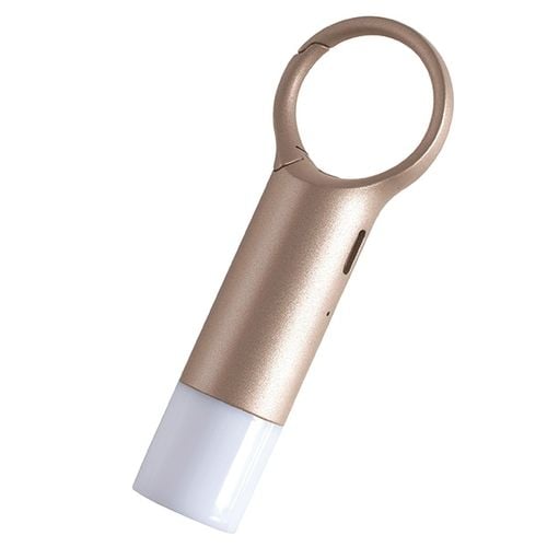 lexon nomaday flash brelok ledzłoty/gold ll137d na Arena.pl