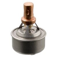 Termostat Renault R19 I 1988 1989 1990 1991 1992