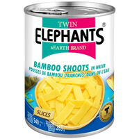 Pędy bambusa plastry 540g - Twin Elephants & Earth Brand