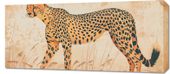 Obraz 90x40cm Gepard w Ruchu