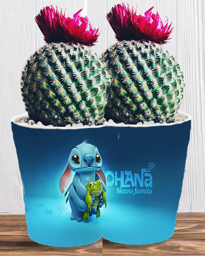 Doniczka do kwiatów/roślin - Lilo i Stich na Arena.pl