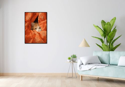Plakat 59,4x84,1cm Ukryty Kot na Arena.pl