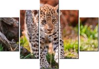 product-compare-58675996