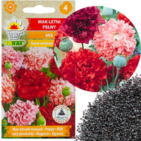 MAK LETNI PEŁNY MIX KOLORÓW KWIATY MAKU NASIONA 0,5G MAK PEONIOWY