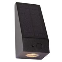 Elewacyjna lampa Irwin 15816/02/30 LED 2W 2850-3150K IP65 czarny