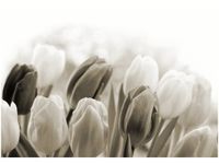 100 70CM OBRAZ PŁÓTNO TULIPANY PŁÓTNO RAMA