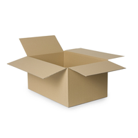 Karton klapowy 550x350x300 mm 5W 540 g/m² 10 sztuk