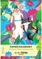 Papier Kolorowy A4/10K 80G Creatinio Fol A 20