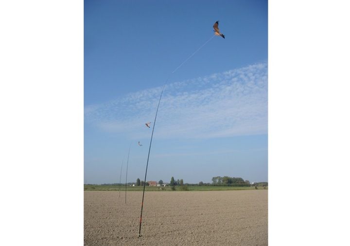 Odstraszacz Ptaków Duży Latawiec Jastrząb CH2 zdjęcie 2