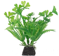 AQUA NATURA Roślina sztuczna ozdoba dekoracja akwarium terrarium Alaria 10c