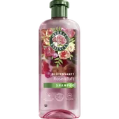 Herbal Essences szampon włosy suche, znisczone regneracja róża