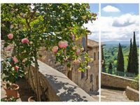 70X50CM RÓŻE BALKONIE DWÓJ OBRAZ NIESYMETRYCZNY