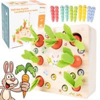 Gra Zręcznościowa Dopasuj Marchewkę Drewniana